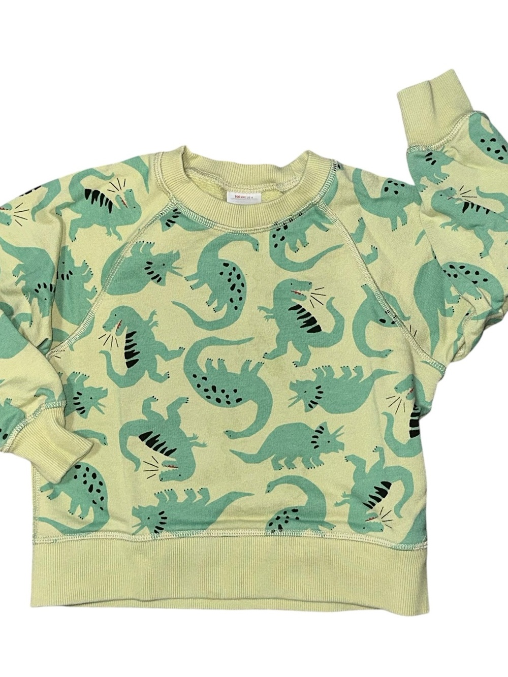 Hanna Andersson Dino Sweatshirt